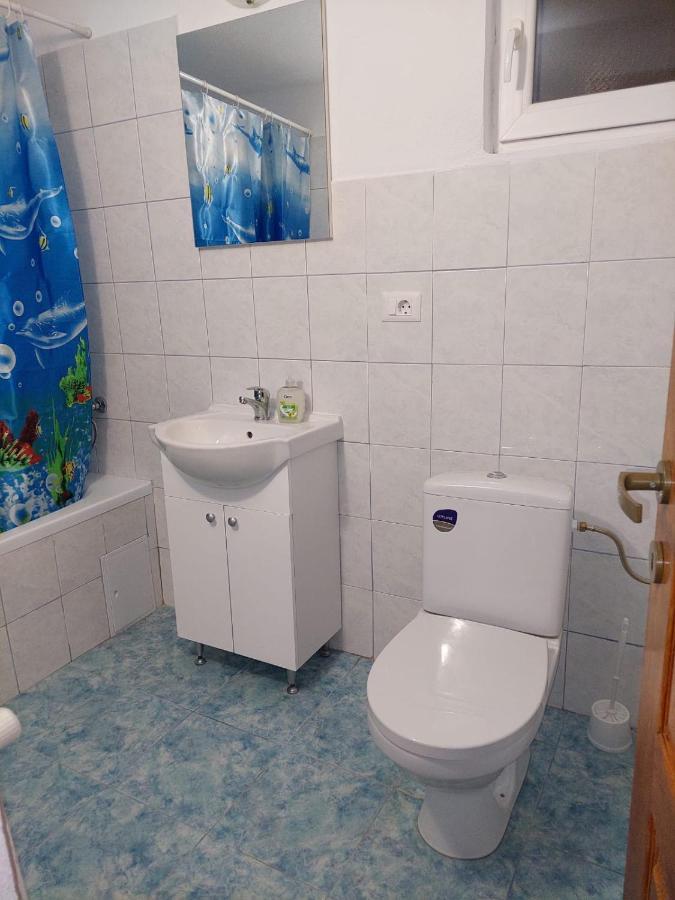 Villa Casuta De Sub Munte Cîrţişoara Extérieur photo